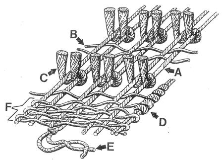 Hand-knotted